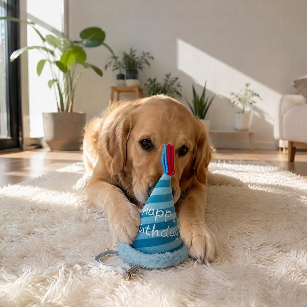 Pet Photography Props Dog Birt - огляд і ціна Party Hat Cone